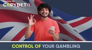 Responsible Gaming on F8BET: How to Stay in Control While Having Fun